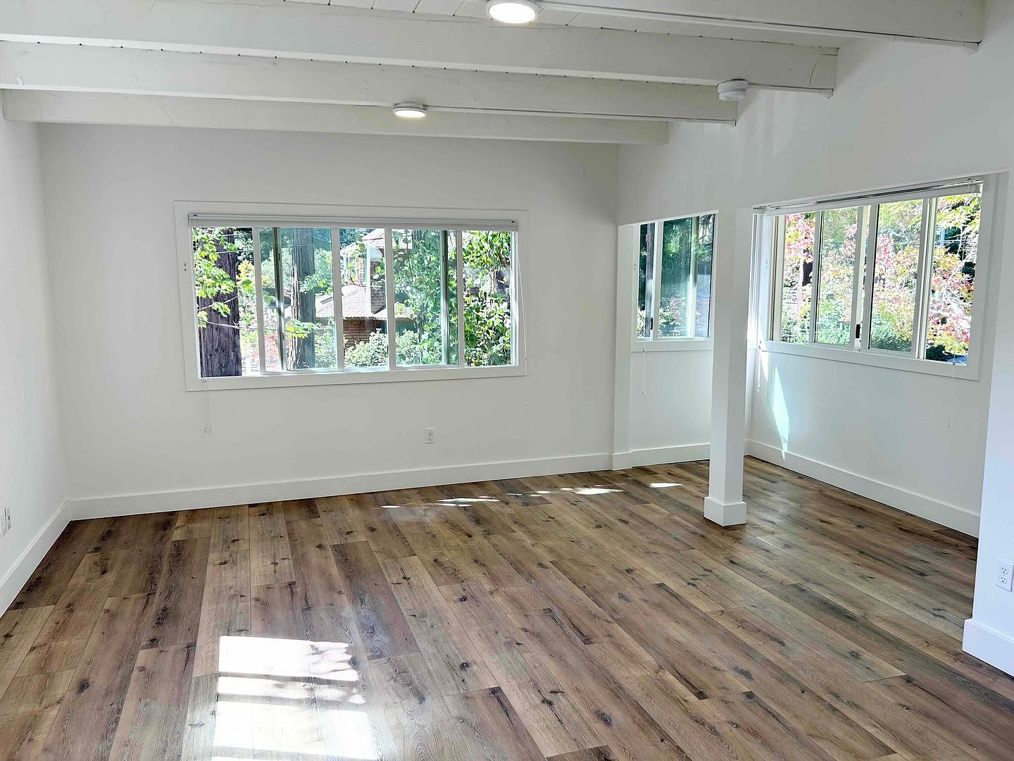 Open room with wood floors and large windows to redwoods